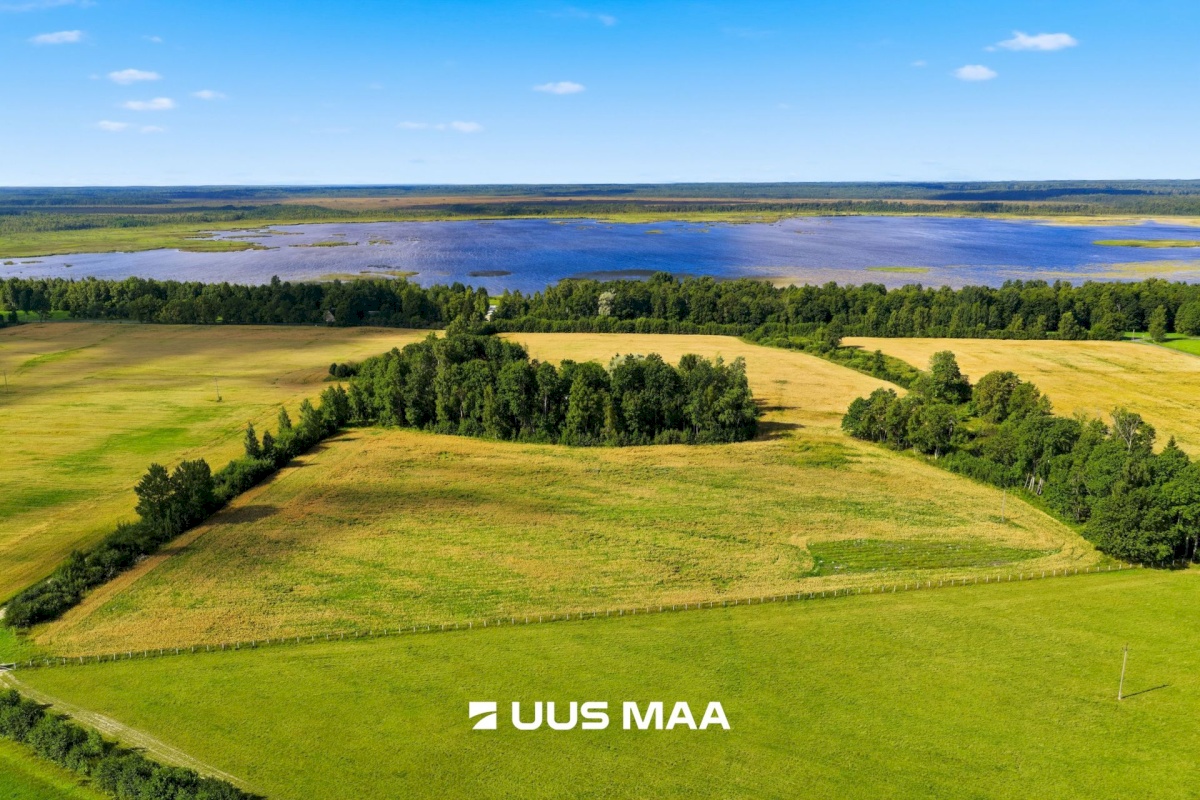 Pärnu linn, Männikuste küla, Oja