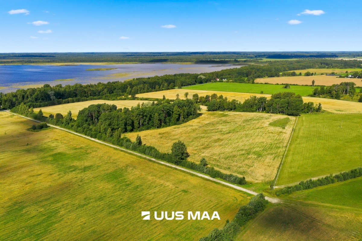 Pärnu linn, Männikuste küla, Oja