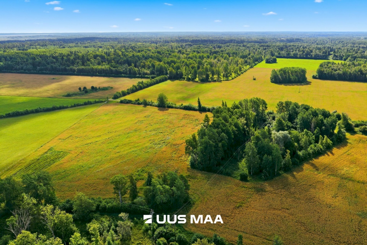 Pärnu linn, Männikuste küla, Oja