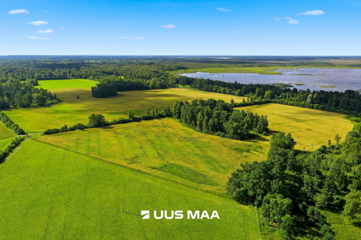 Pärnu linn, Männikuste küla, Oja