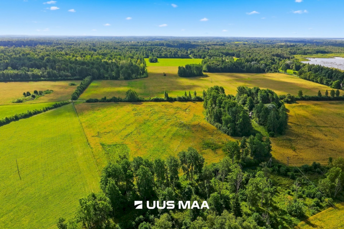Pärnu linn, Männikuste küla, Oja