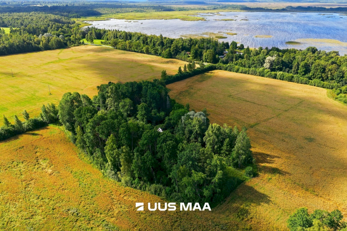 Pärnu linn, Männikuste küla, Oja