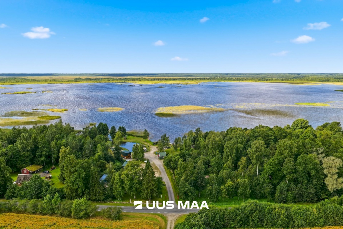 Pärnu linn, Männikuste küla, Oja