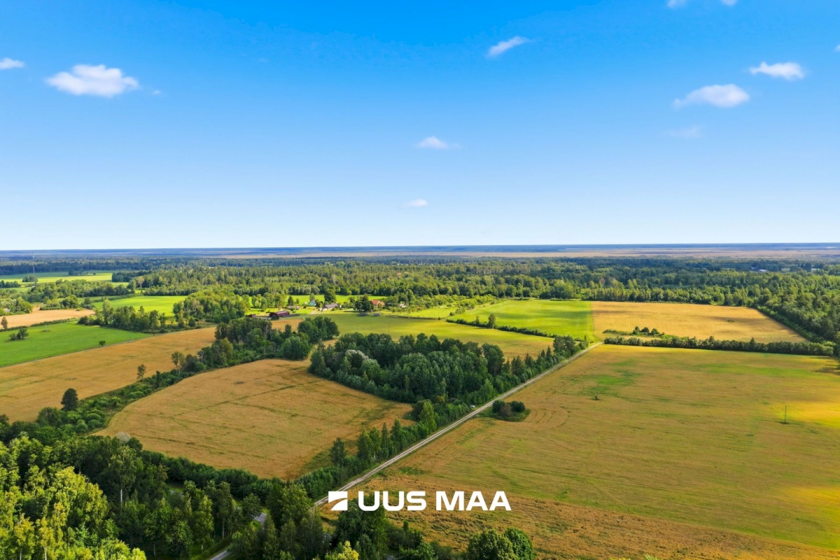 Pärnu linn, Männikuste küla, Oja
