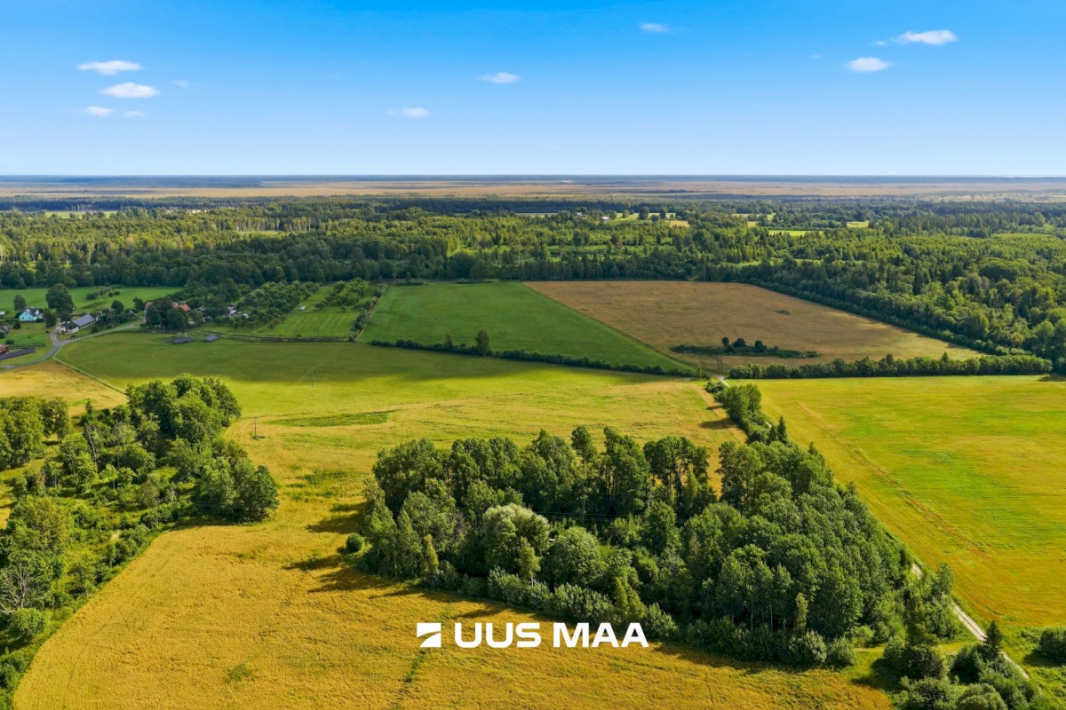 Pärnu linn, Männikuste küla, Oja