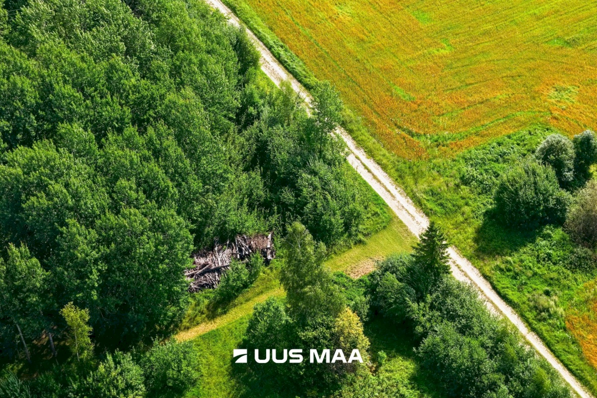 Pärnu linn, Männikuste küla, Oja