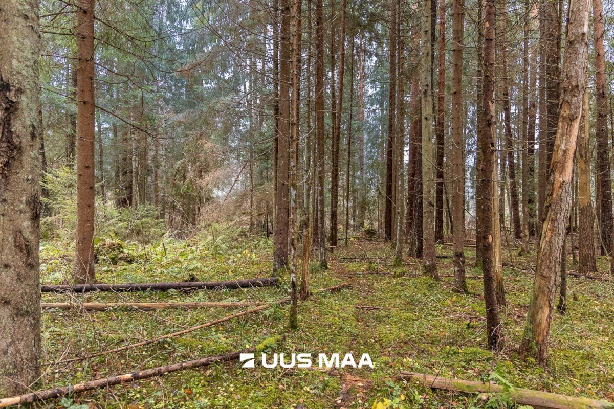 Kanepi vald, Jõgehara küla, Sooserva