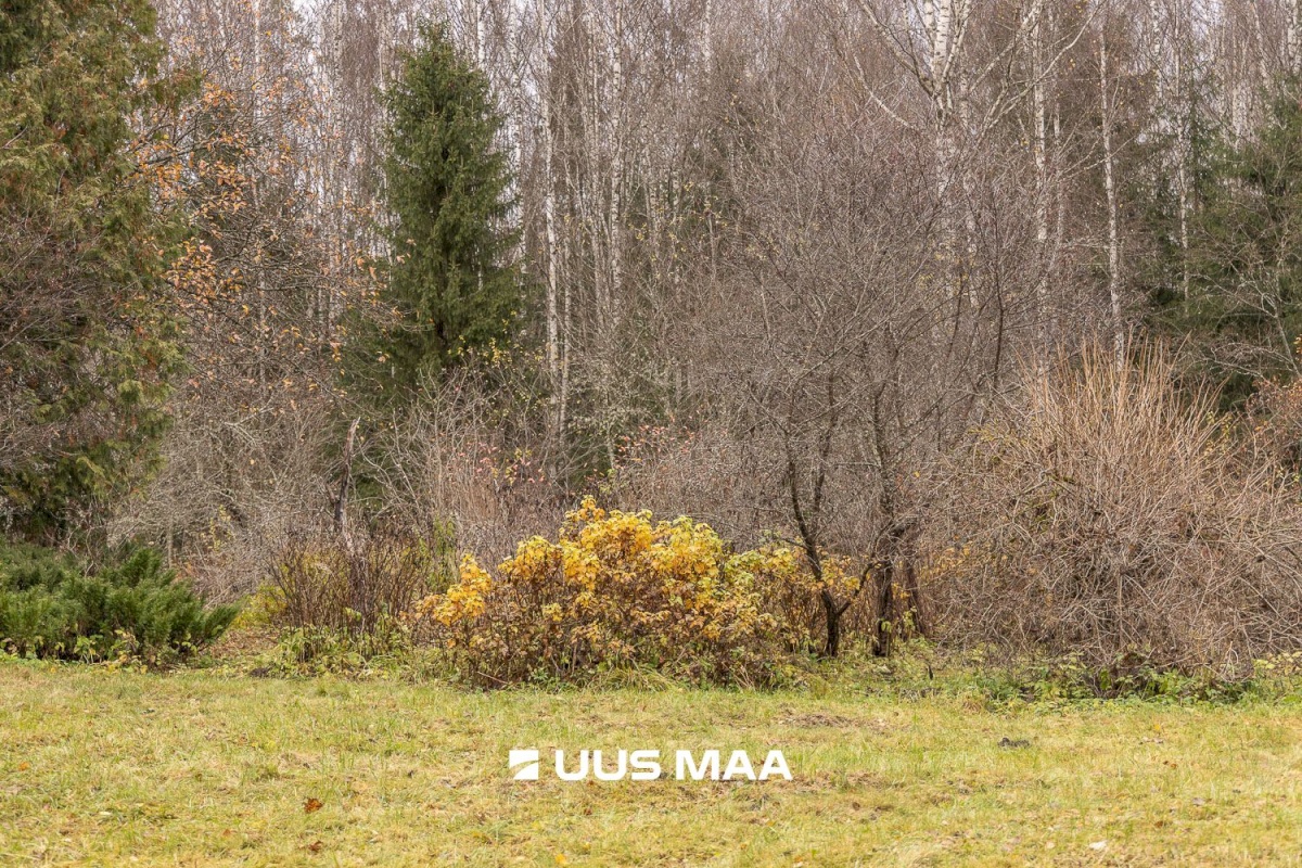 Kanepi vald, Jõgehara küla, Sooserva