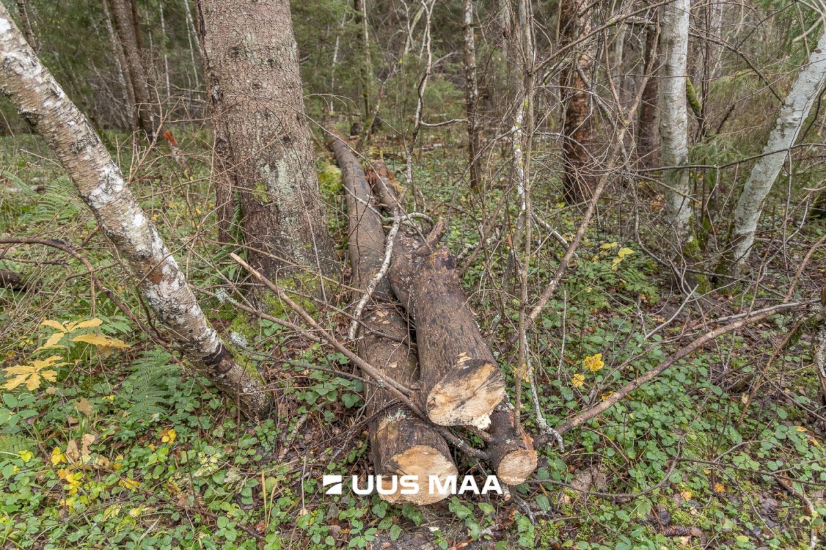 Kanepi vald, Jõgehara küla, Sooserva