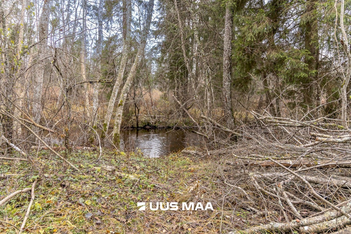 Kanepi vald, Jõgehara küla, Sooserva