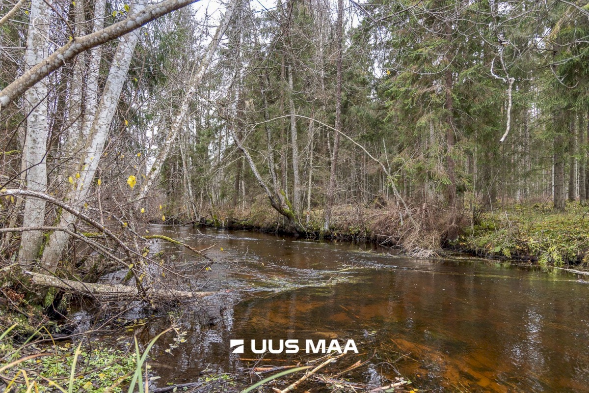 Kanepi vald, Jõgehara küla, Sooserva