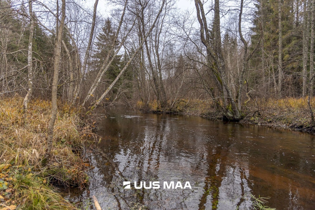 Kanepi vald, Jõgehara küla, Sooserva