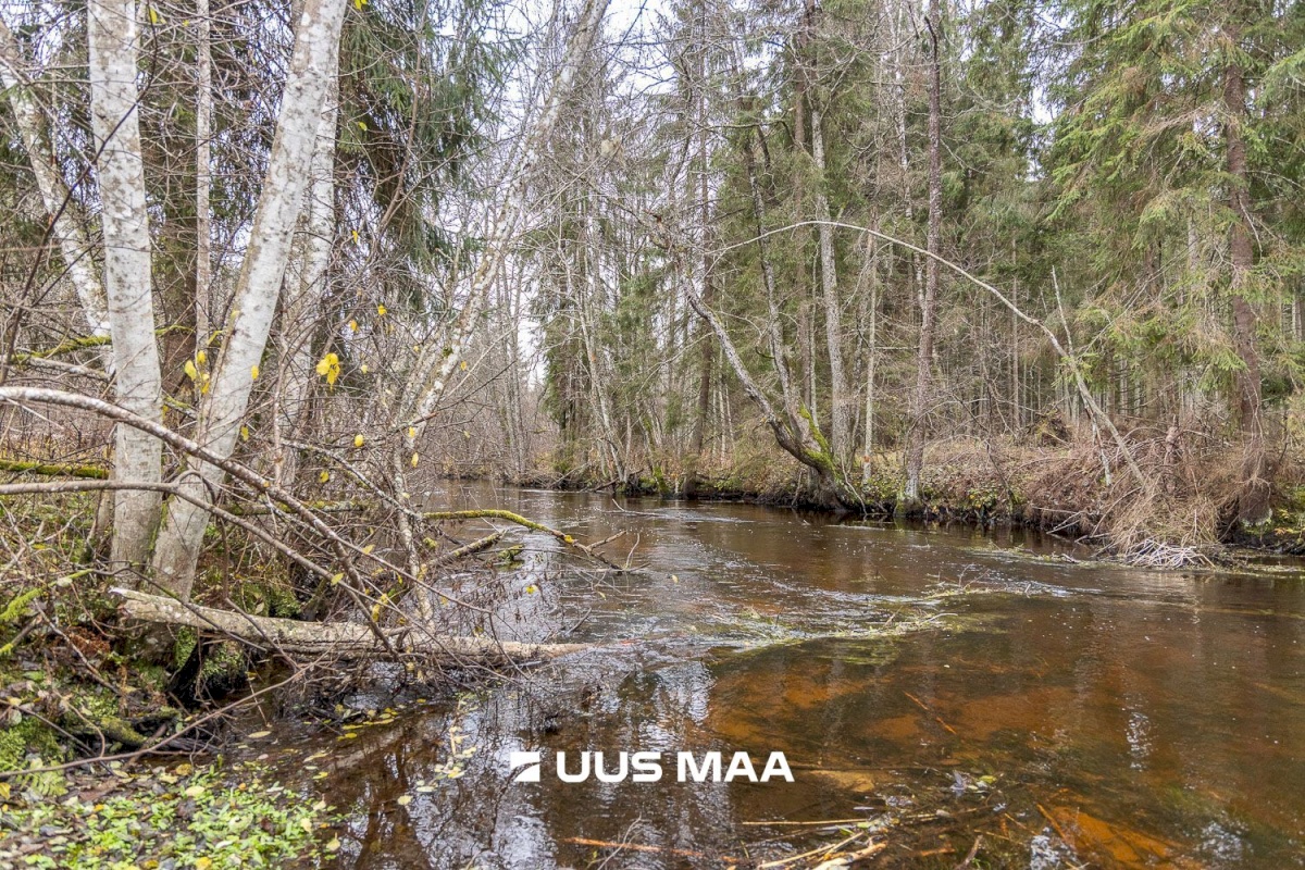 Kanepi vald, Jõgehara küla, Sooserva