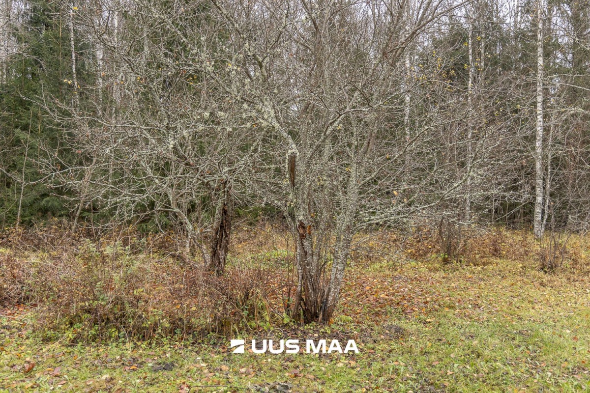 Kanepi vald, Jõgehara küla, Sooserva