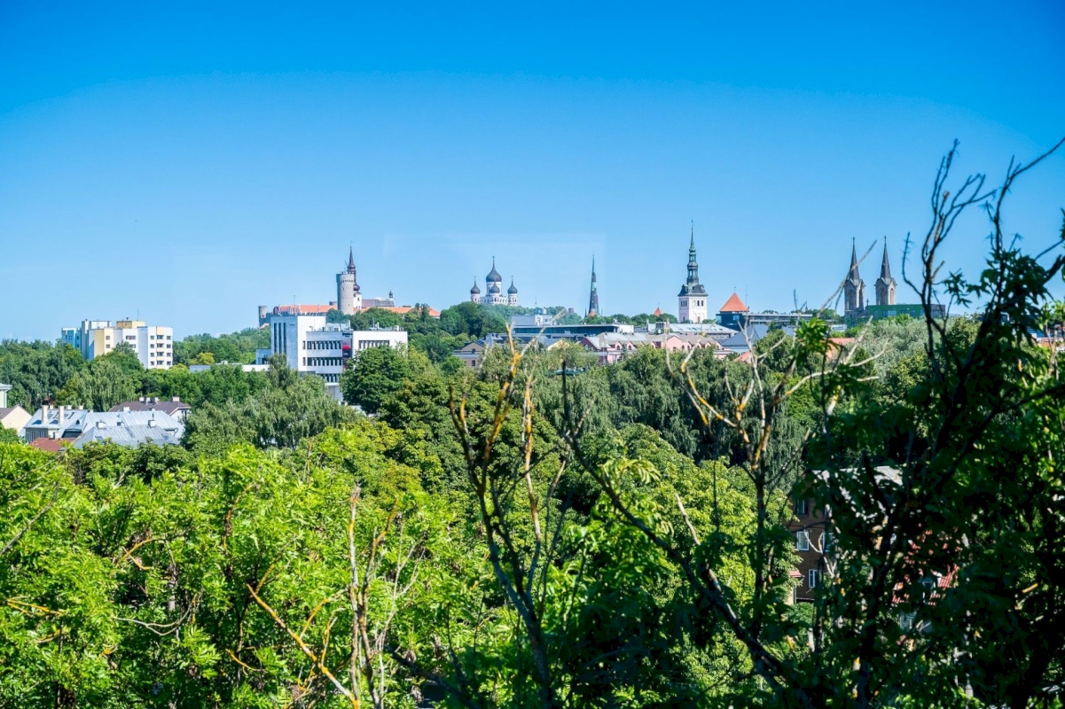 Tallinn, Kesklinna linnaosa, Kotkapoja 4