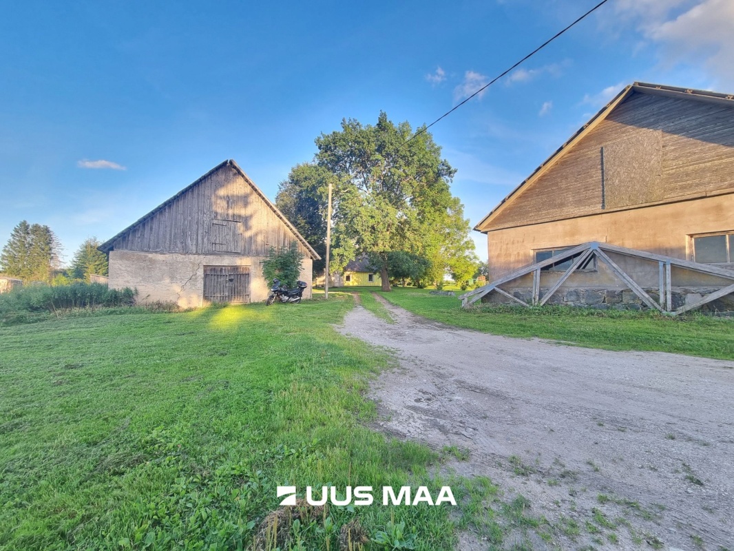Väike-Maarja vald, Aburi küla, Pambergi