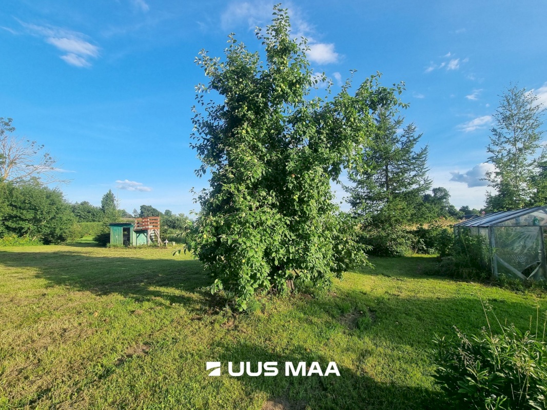 Väike-Maarja vald, Aburi küla, Pambergi