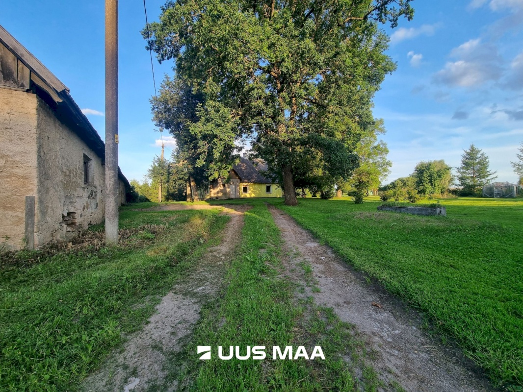 Väike-Maarja vald, Aburi küla, Pambergi