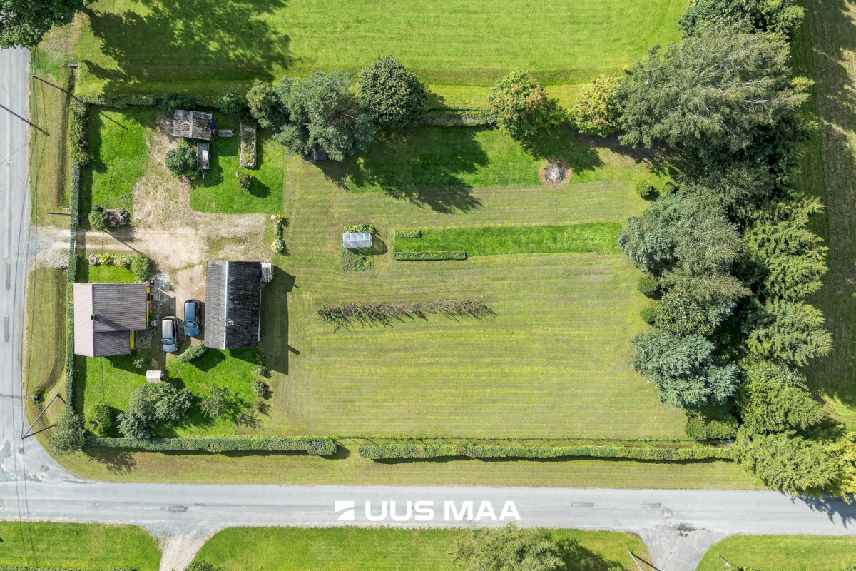Viljandi vald, Mustla alevik, Liiva tn 12