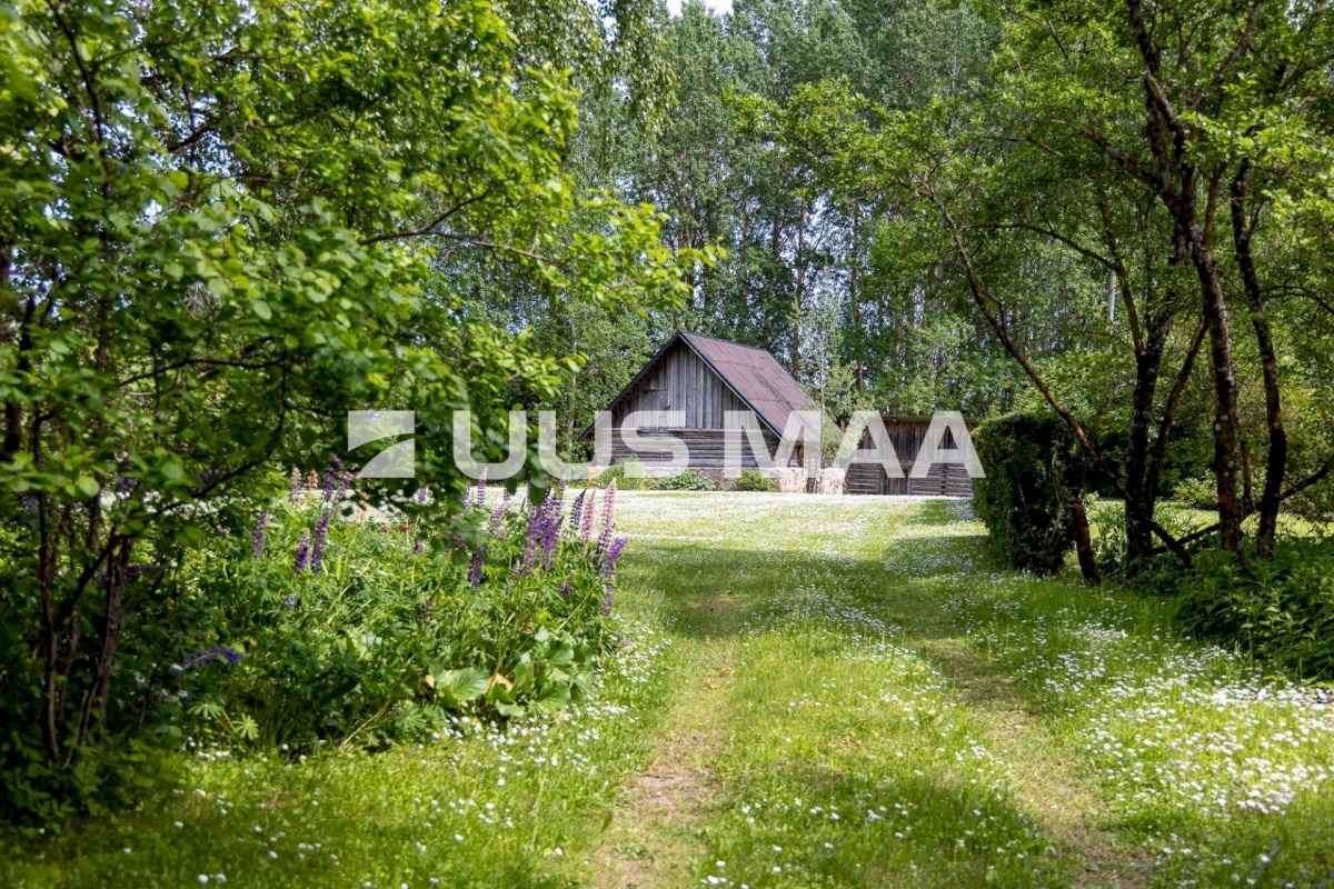 Räpina vald, Sülgoja küla, Trangi