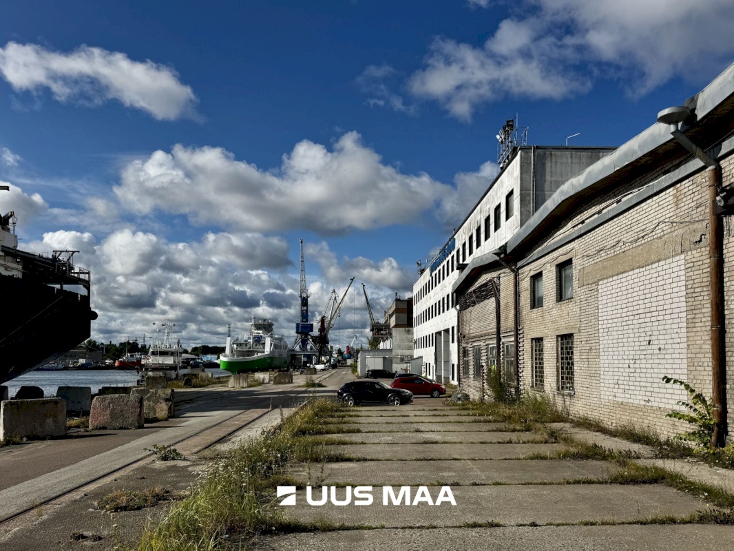 Tallinn, Põhja-Tallinna linnaosa, Paljassaare