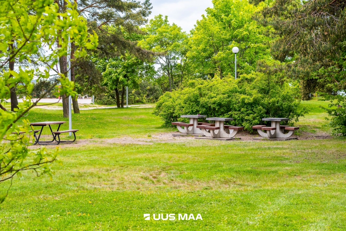 Tallinn, Põhja-Tallinna linnaosa, Pelguranna 3