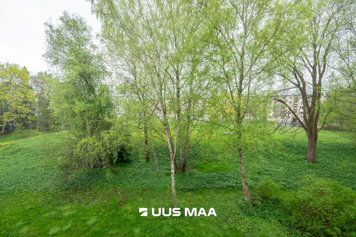 Tallinn, Mustamäe linnaosa, Mustamäe, Mustamäe tee 175