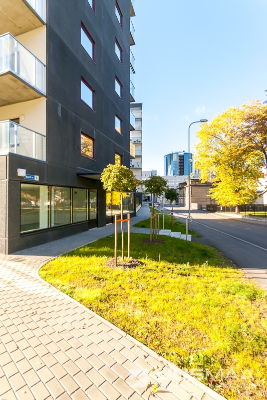 Tallinn, Kesklinna linnaosa, Mardi 6