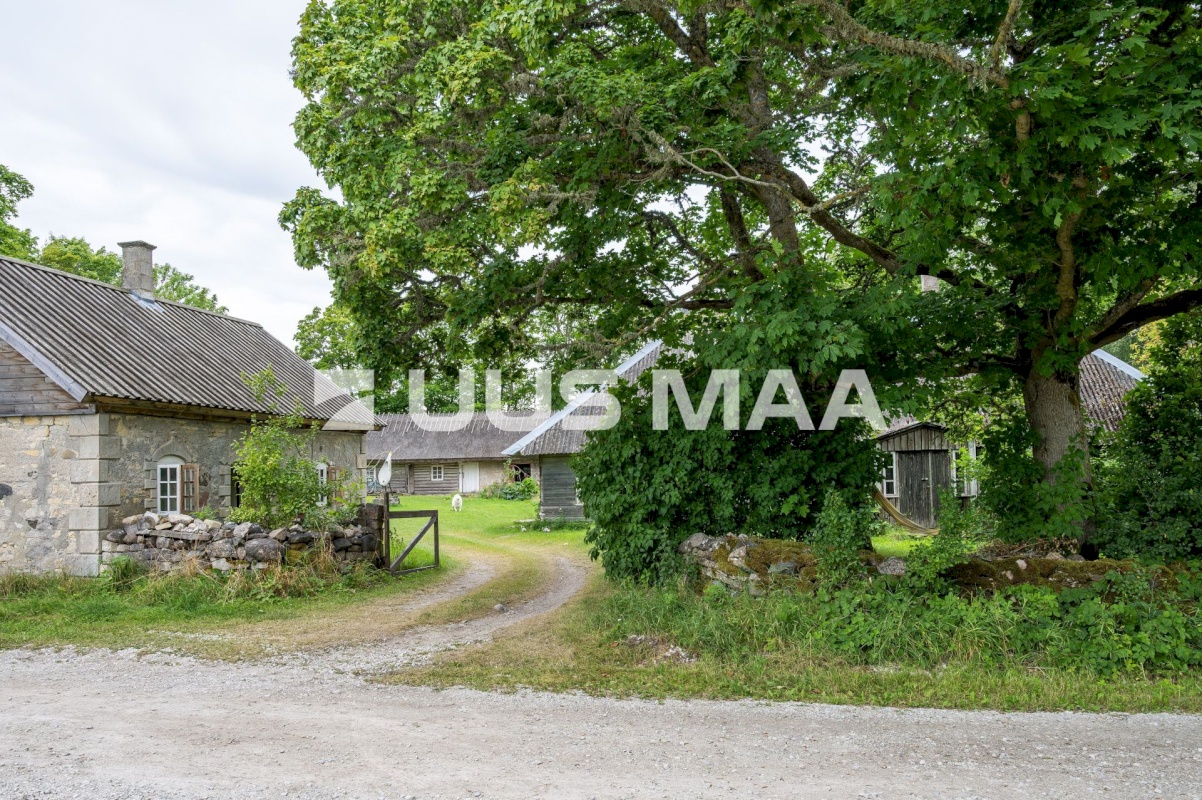 Muhu vald, Nõmmküla, Arsi
