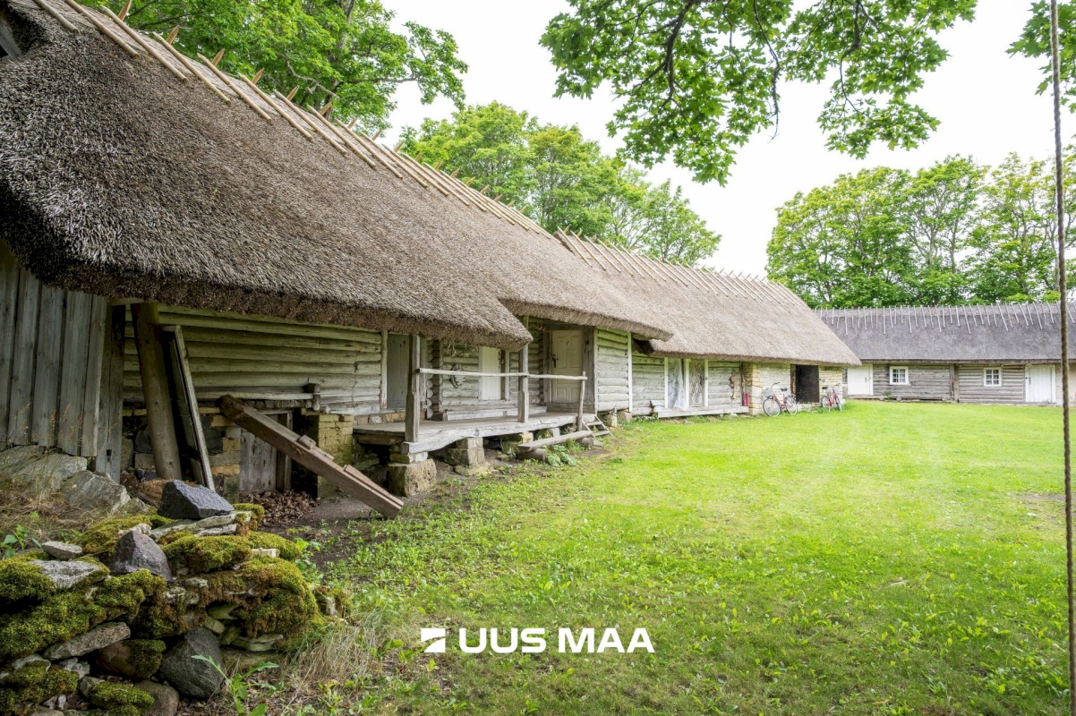 Muhu vald, Nõmmküla, Arsi