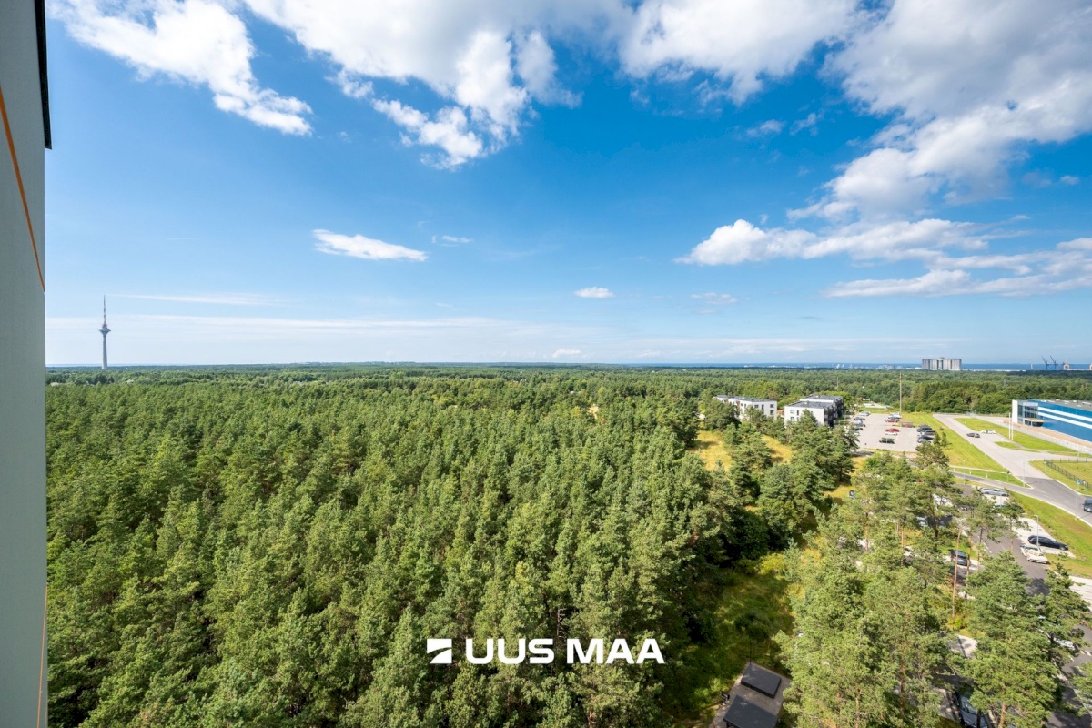 Maardu linn, Viieaia tee 28