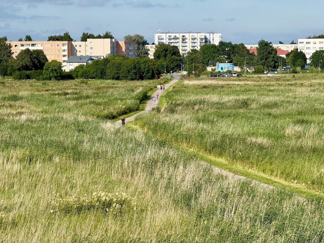 Pärnu linn, Pärnu linn, Mai, Mai