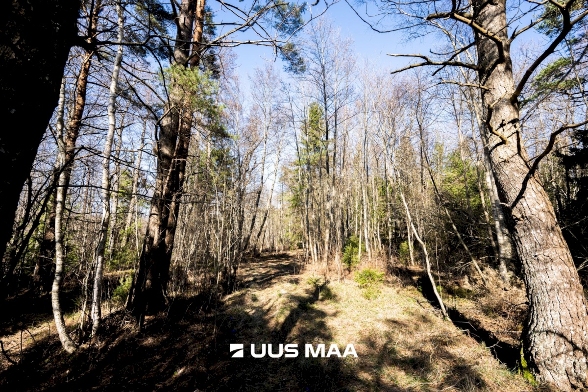 Lääne-Nigula vald, Tuksi küla/Bergsby