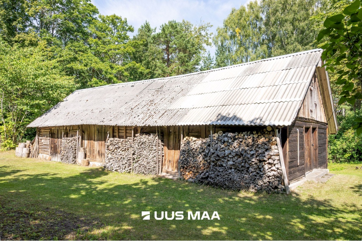Saaremaa vald, Iide küla, Suureniidi
