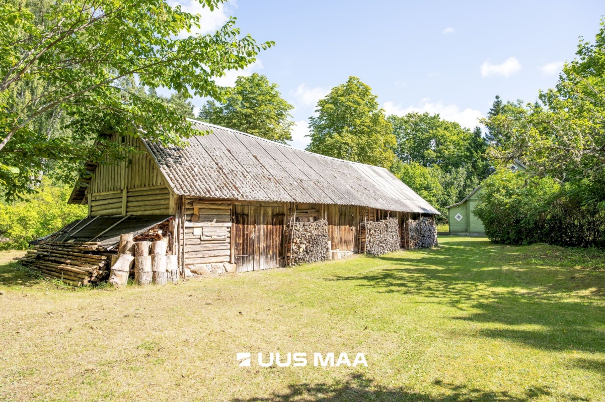 Saaremaa vald, Iide küla, Suureniidi