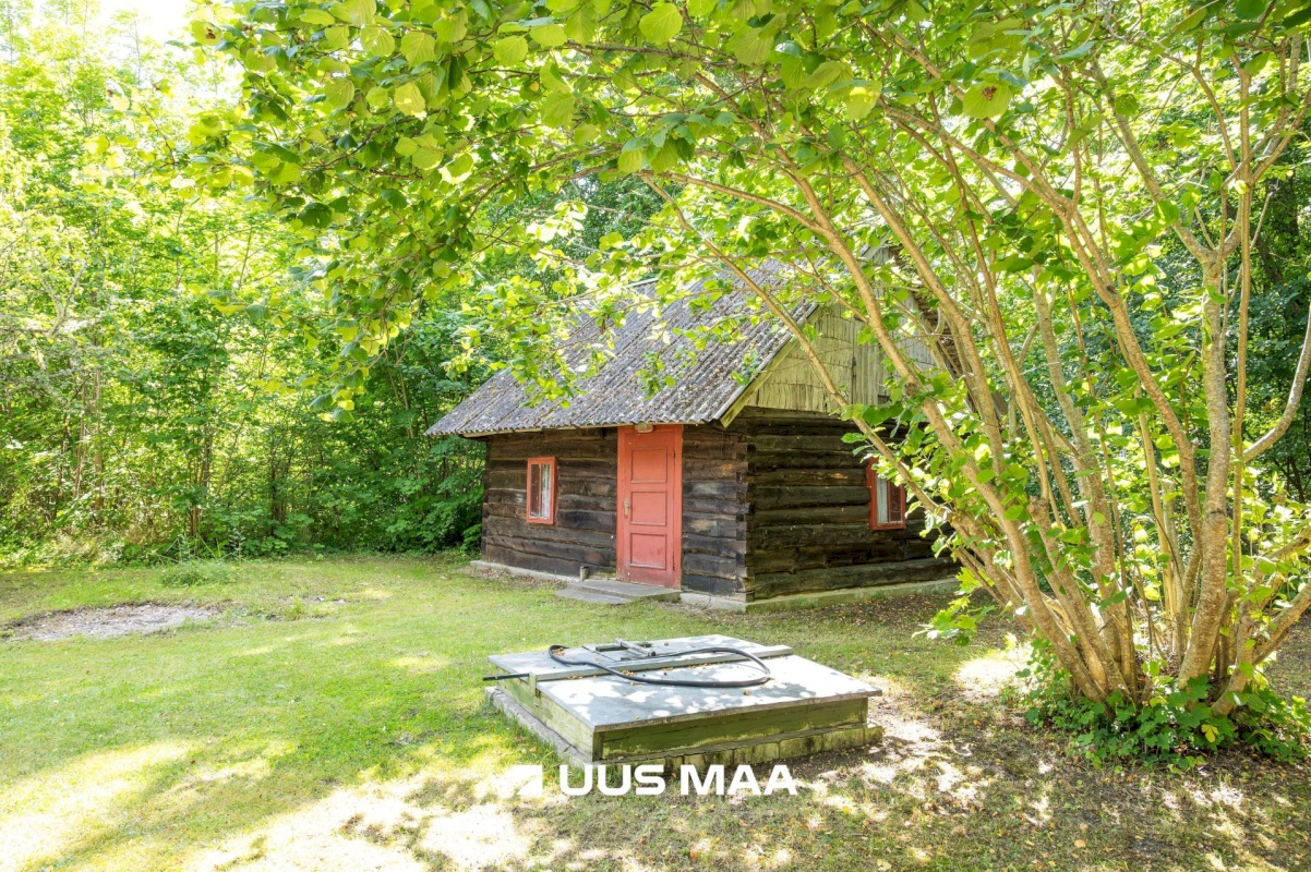Saaremaa vald, Iide küla, Suureniidi