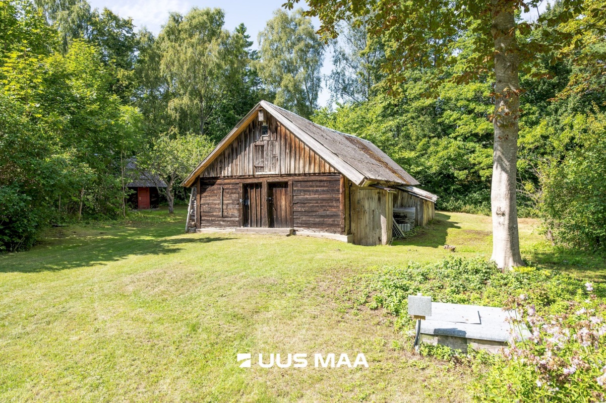 Saaremaa vald, Iide küla, Suureniidi