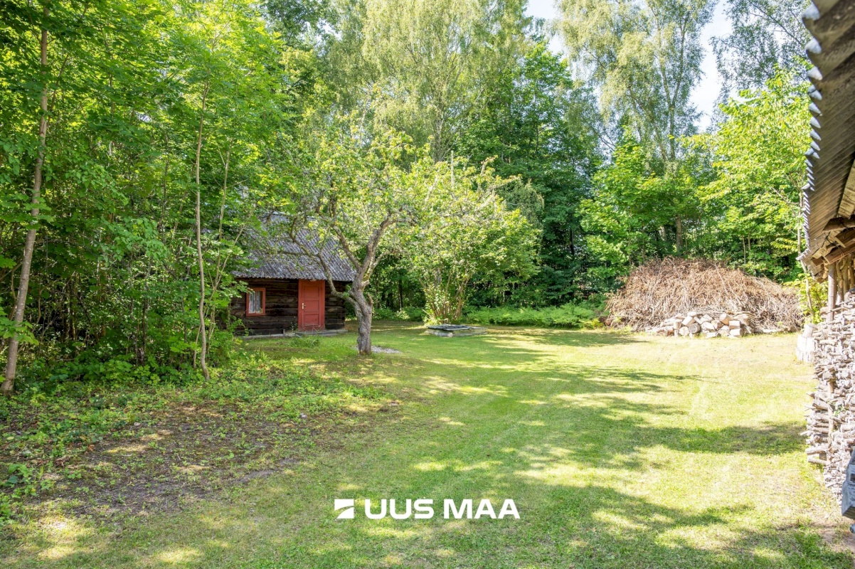 Saaremaa vald, Iide küla, Suureniidi