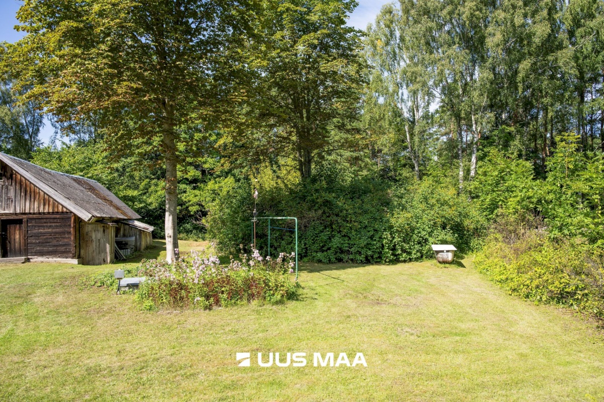 Saaremaa vald, Iide küla, Suureniidi