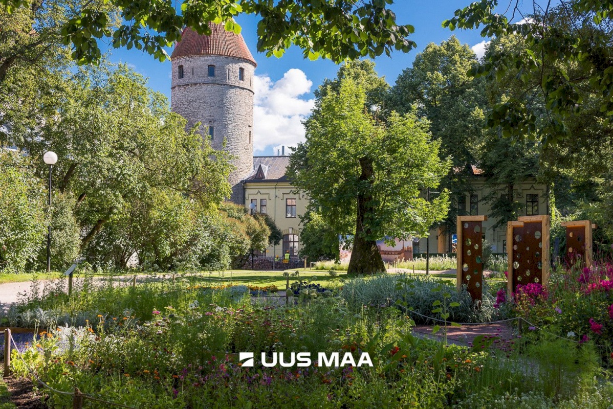 Tallinn, Kesklinna linnaosa, Lai tn 13