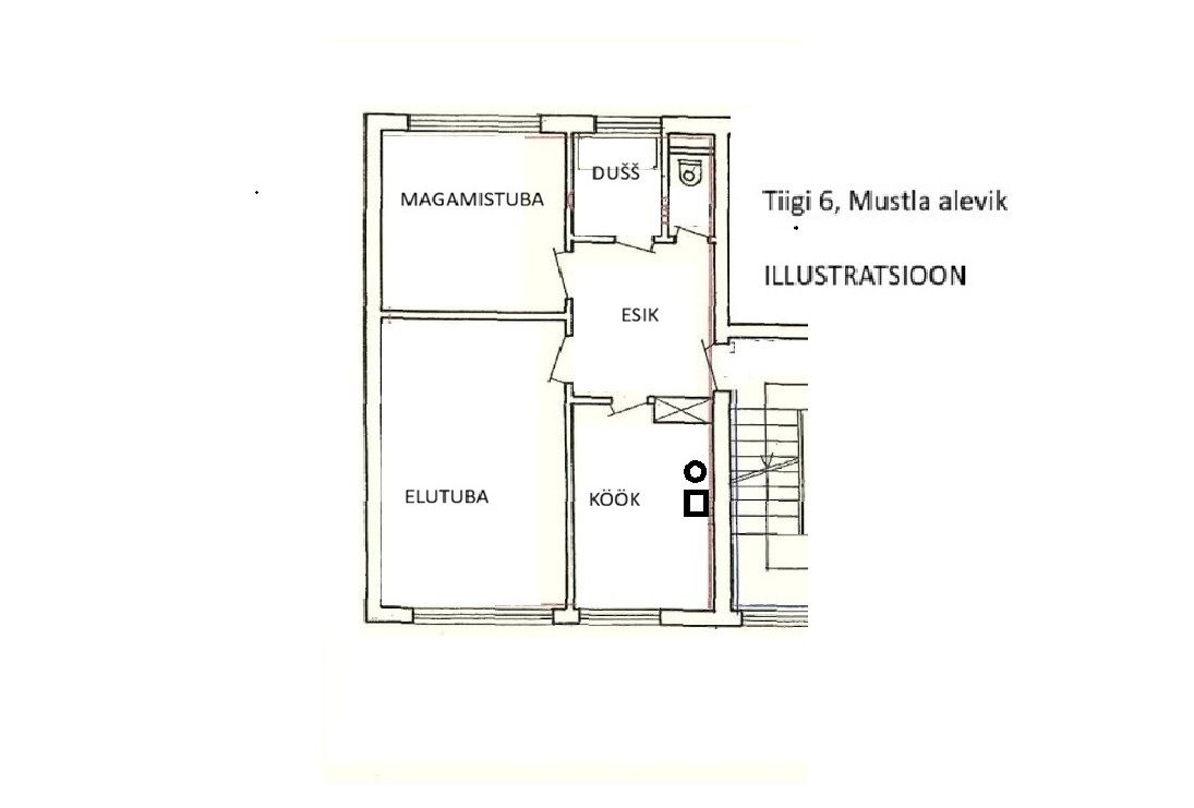 Viljandi vald, Mustla alevik, Tiigi 6