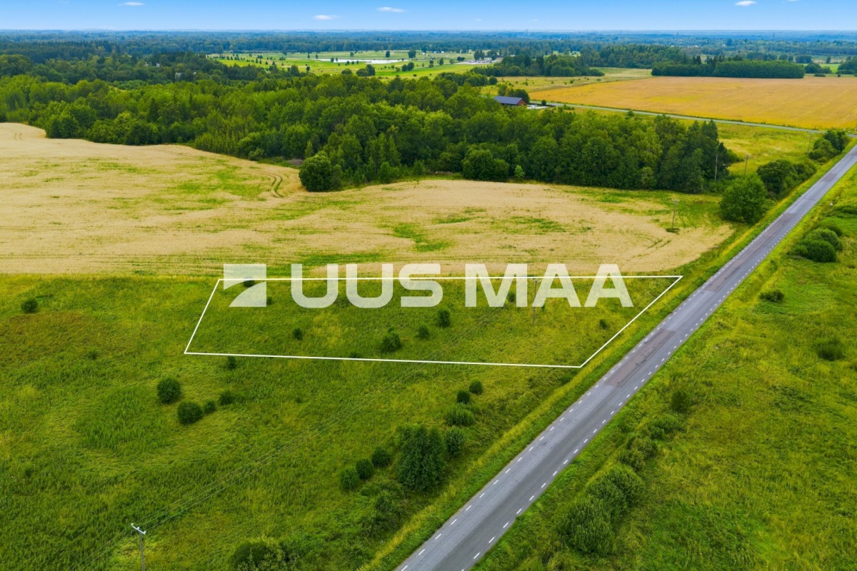 Rae vald, Suuresta küla, Vanatammi tee 12