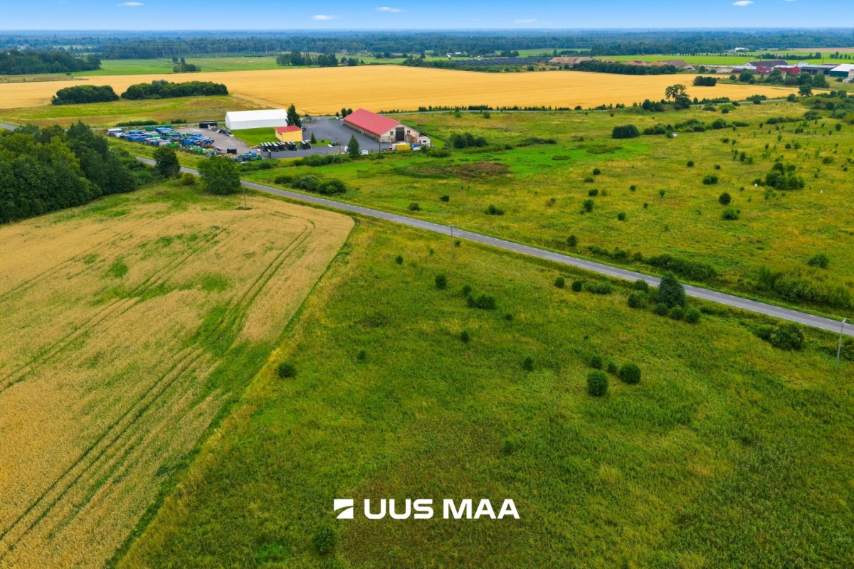 Rae vald, Suuresta küla, Vanatammi tee 12