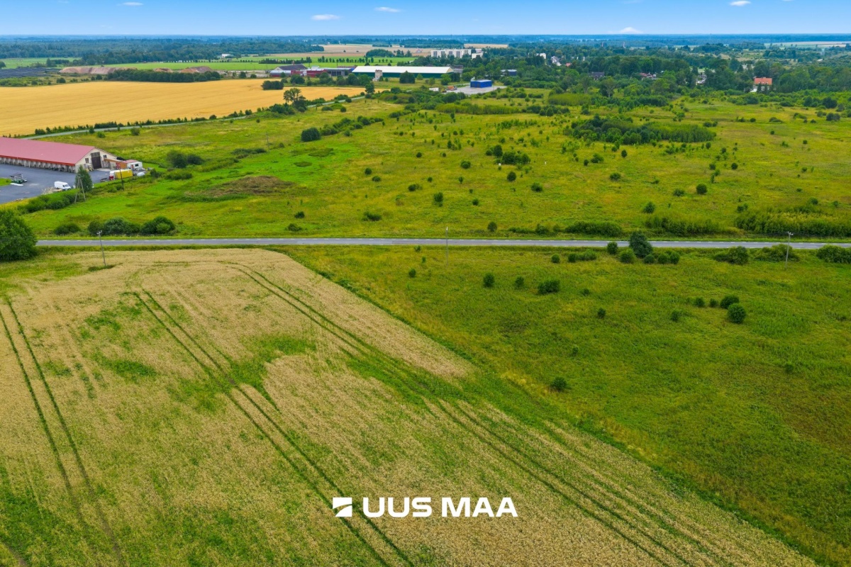 Rae vald, Suuresta küla, Vanatammi tee 12