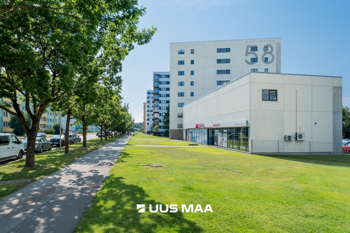 Pärnu linn, Pärnu linn, Mai, Papiniidu tn 58
