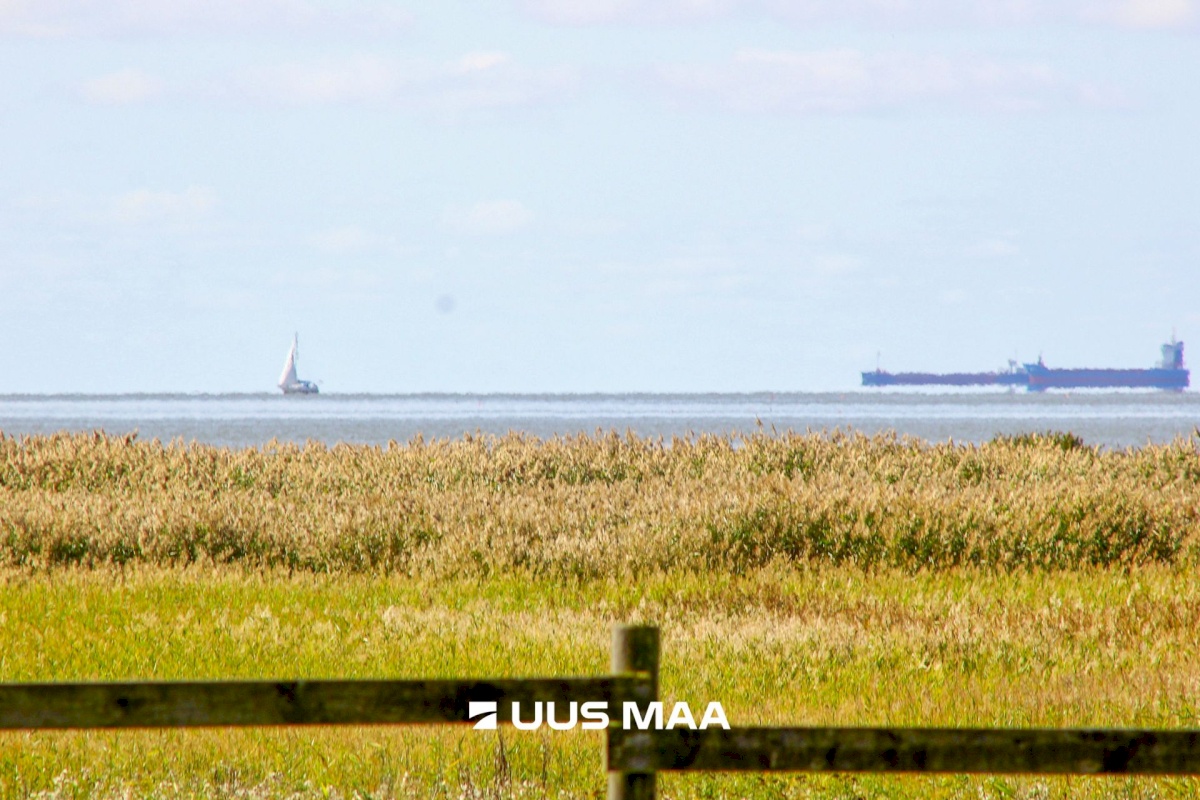 Pärnu linn, Pärnu linn, Mai, Papiniidu tn 58