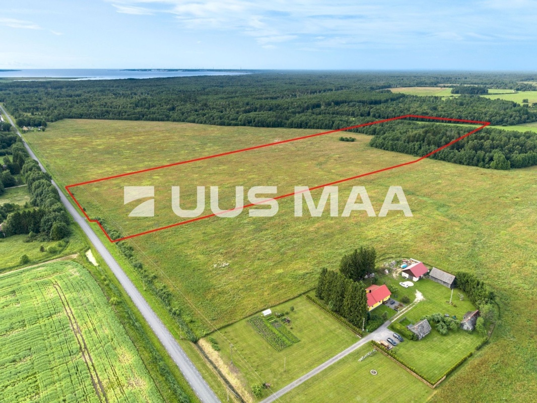 Lääne-Harju vald, Laane küla, Kasemetsa