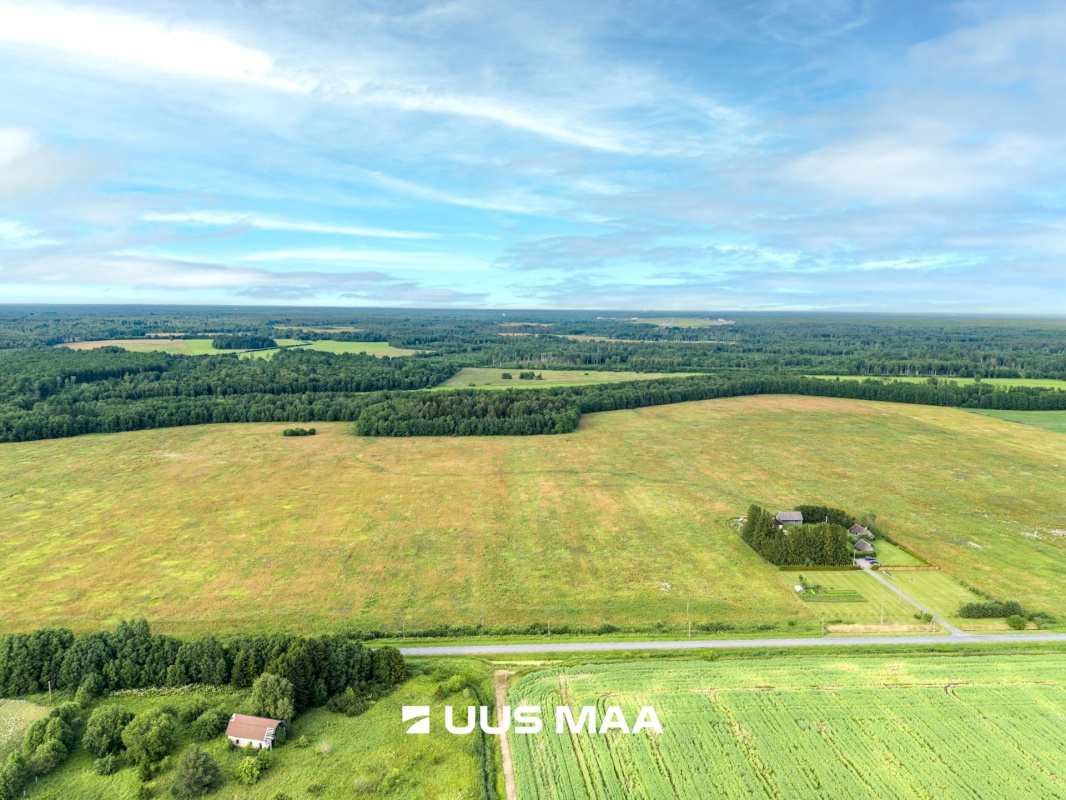 Lääne-Harju vald, Laane küla, Kasemetsa