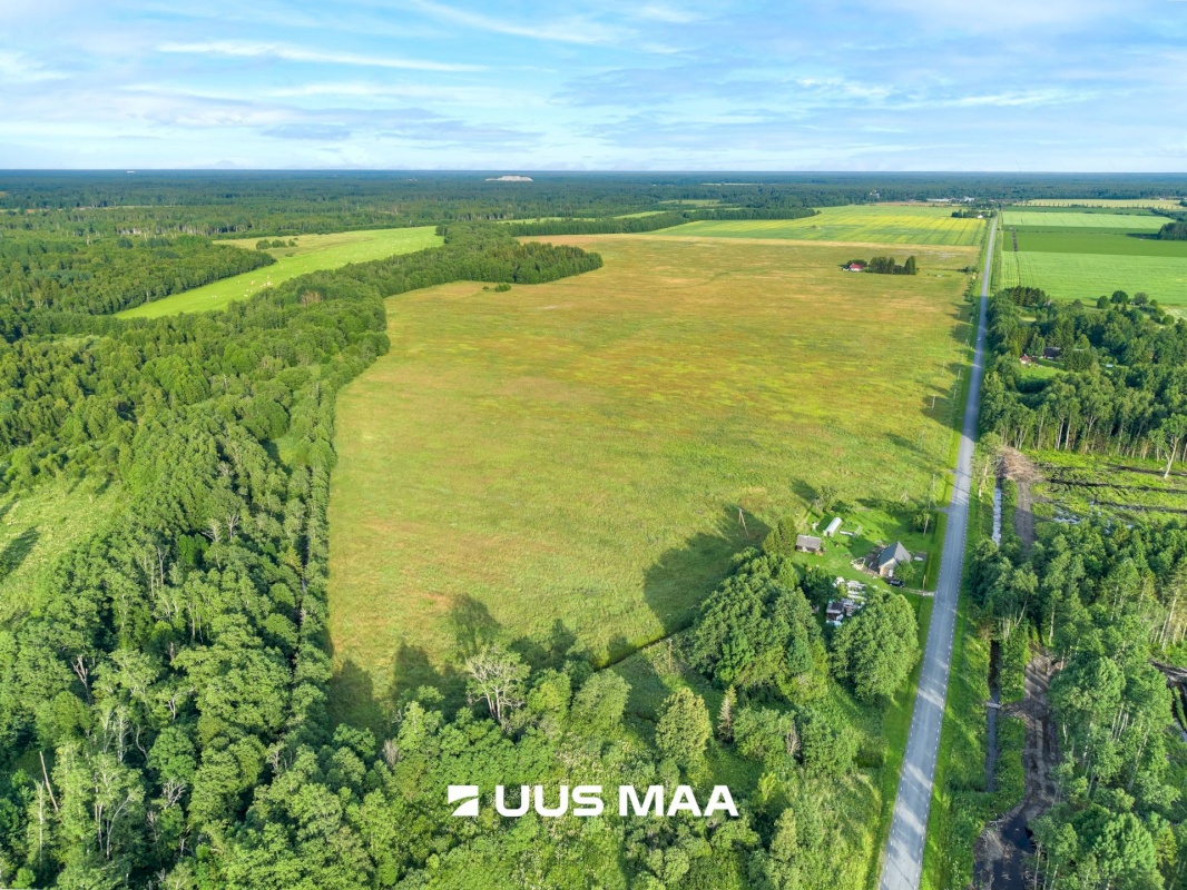 Lääne-Harju vald, Laane küla, Kasemetsa