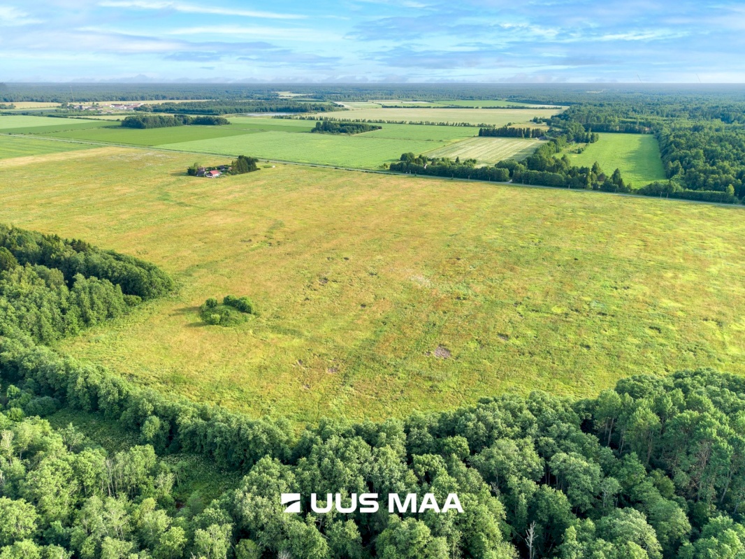 Lääne-Harju vald, Laane küla, Kasemetsa